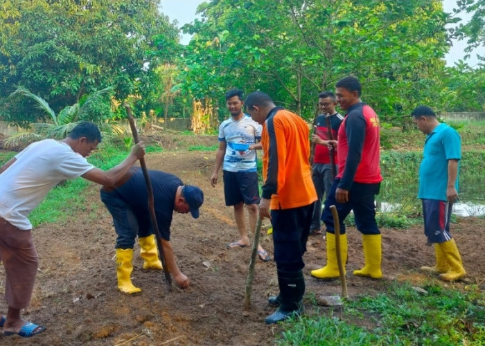 Wujudkan Ketahanan Pangan dan Swasembada, Lapas Sekayu Tanam Jagung