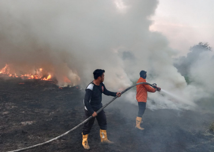 Dua Titik Karhutbunla di Serasan Jaya Berhasil Dipadamkan, Total Tiga Hektare Lahan Terbakar