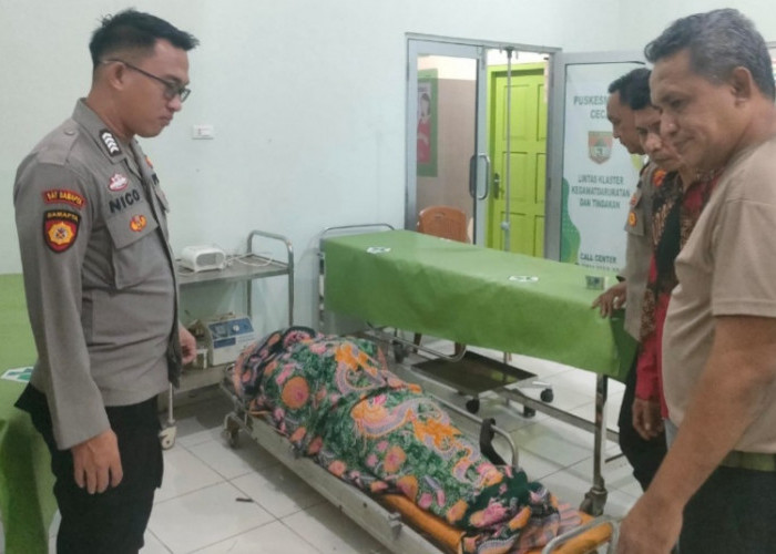 Travel Terjun ke Sungai Jernih di Muara Lakitan, Dua Tewas dan Empat Penumpang Selamat