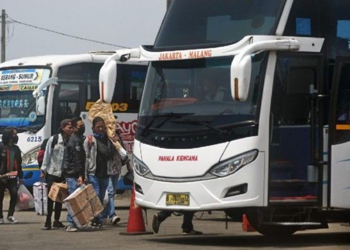 Kuota Mudik Gratis 2026 Masih Tersedia, Ini Cara Cek dan Daftar Online di Nusantara Kemenhub