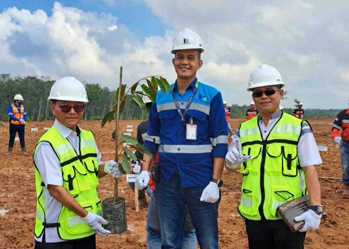 Perusahaan Tambang Batubara MNC Energy Group Peringatan Hari Lingkungan Hidup Sedunia, Tanam Ratusan Pohon