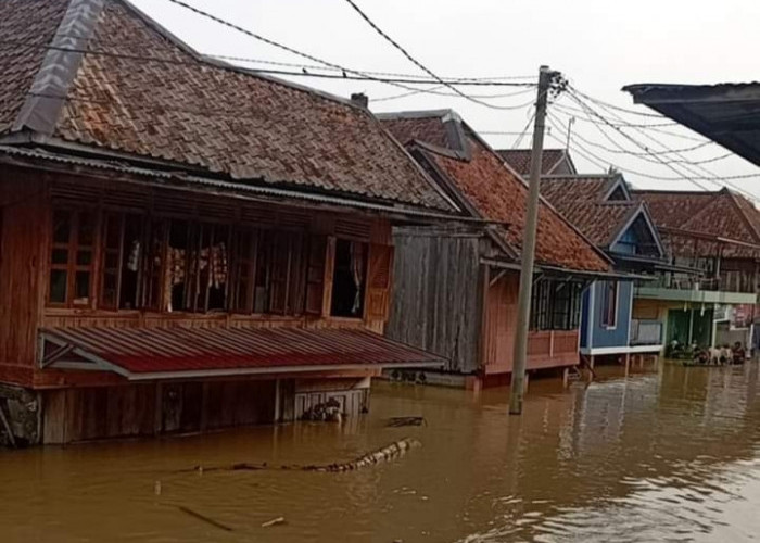 Puluhan Ribu Rumah Terendam dan Jembatan Putus Akibat Banjir di Kabupaten Musi Rawas Utara