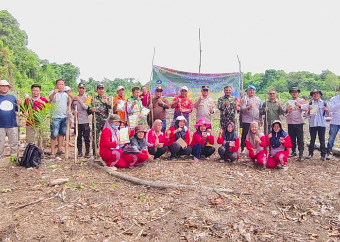 Manfaatkan Lahan Tidur Seberang Sungai Musi, Pemdes Ngulak III Tanam Jagung Program Ketahanan Pangan