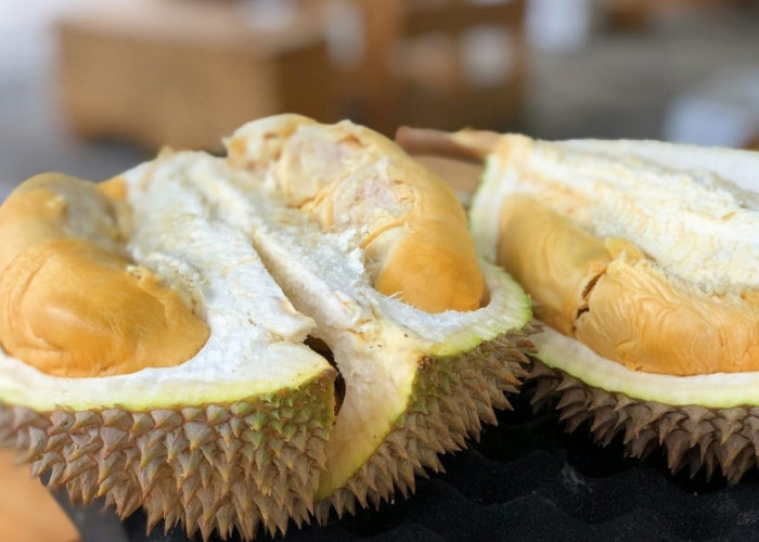 Wajib Diperhatikan, 8 Makanan Ini Perlu Dihindari Makan Bersamaan Dengan Buah Durian 