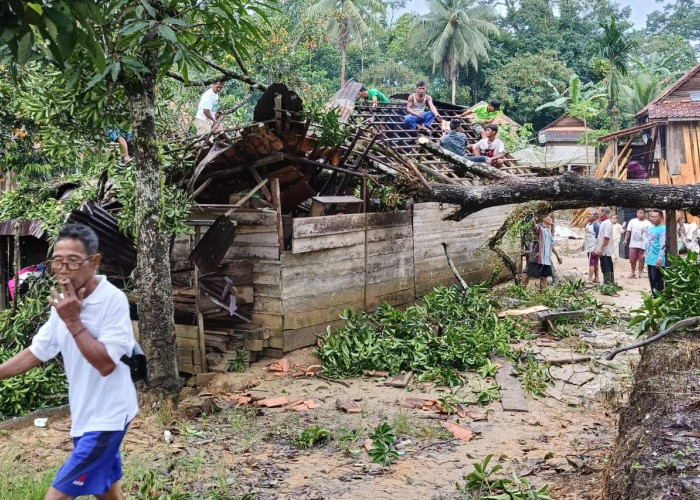 Hujan Deras dan Angin Kencang, Rumah Warga Tebing Bulang Tertimpa Pohon