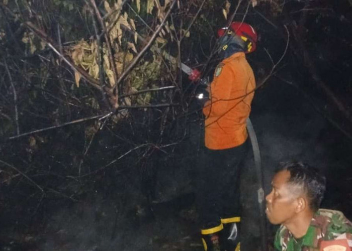 BPBD Muba Berjibaku hingga Dini Hari Padamkan Karhutbunla di Batang Hari Leko, 30 Hektare Lahan Terbakar