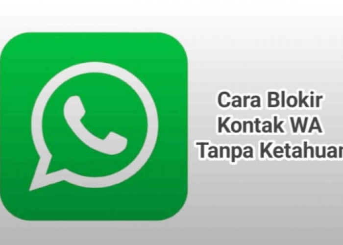 Begink Cara Efektif Blokir Kontak WhatsApp Tanpa Ketahuan dan Curiga