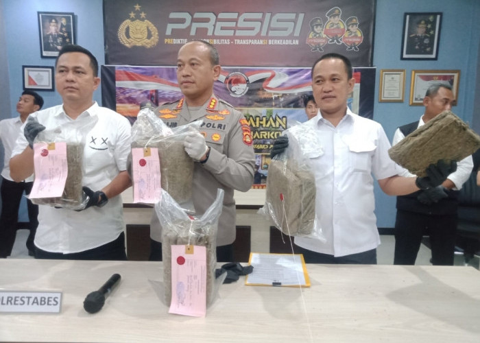 12 Kg Ganja Gagal Beredar di Palembang dan Bangka Belitung