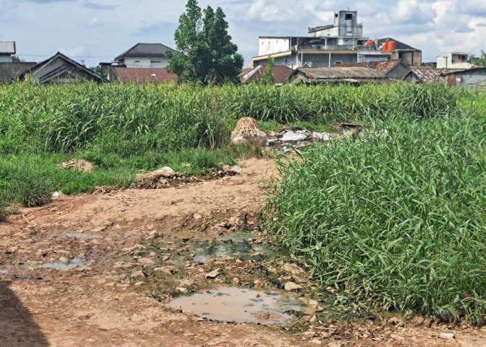 Jalan Dalam Pasar Sungai Lilin Rusak, Pedagang dan Pengunjung Minta Perhatian