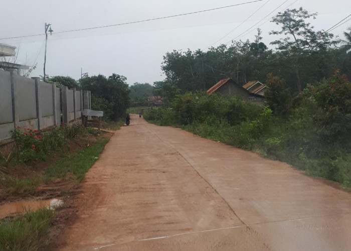 Warga Purwosari Keluhkan Akses Jalan Desa Gelap Gulita, Berharap Ada Penerangan Jalan
