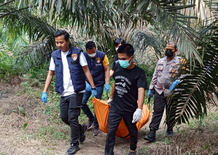 Heboh Penemuan Jenazah Tergantung di Kebun Sawit di Keluang, Mukanya Mengenaskan