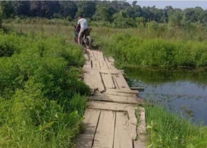 Mudahkan Angkut Hasil, Petani di Kelurahan Ngulak 1 Berharap Dibangun Jembatan Menuju Areal Persawahan