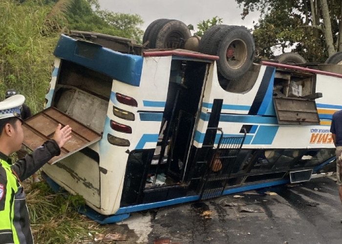 Bus Sarat Penumpang Terguling di Tanjakan Danau Ranau, 3 Luka Berat