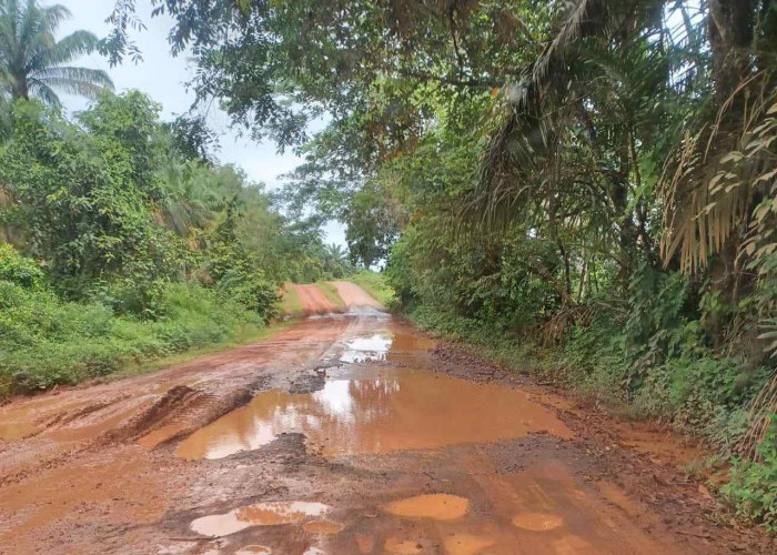 Menyedihkan, Beginilah Kondisi Jalan Bonot Kecamatan Lais di Musim Hujan, Becek dan Penuh Genangan Air