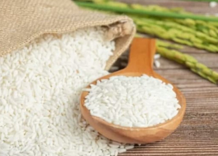 Cocok untuk Diet, Ini 7 Rekomendasi Makanan Pengganti Nasi 