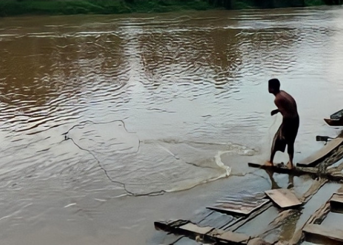 Pasang Surut Tak Menentu, Hasil Tangkapan Nelayan Sungai Musi Anjlok