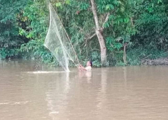 ﻿Air Sungai Musi Surut , Warga Ramai 'Berburu' Ikan Mudik