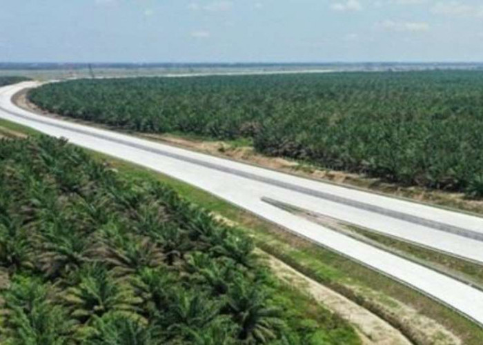 Tahun Depan Tol Trans Sumatera Dari Medan Sudah Menyentuh Wilayah Aceh, Perjalanan Semakin Cepat
