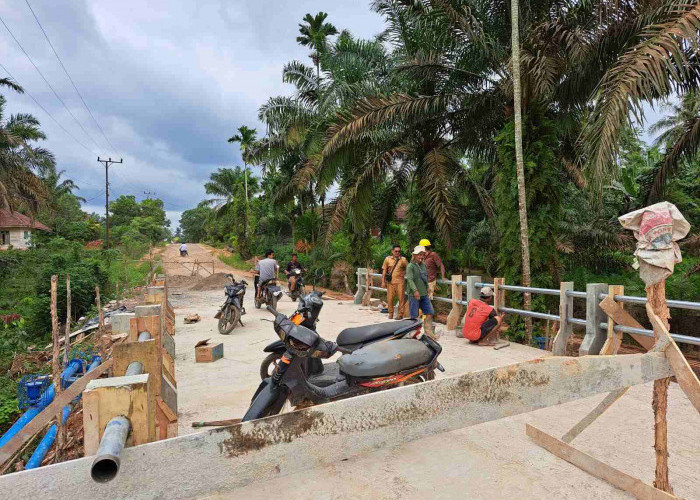 Membanggakan, Warga Desa Linggo Sari Sungai Lilin Ini Bangun 3 Unit Jembatan, Nilainya mencapai 700 Juta 