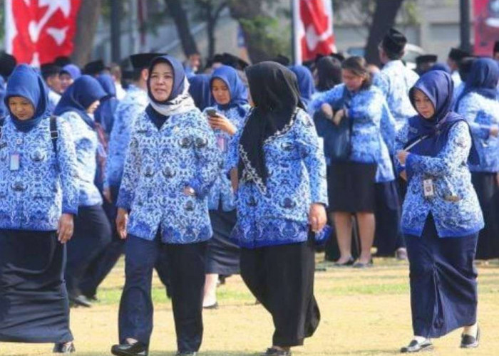 Perubahan Batas Usia Pensiun PNS Menurut UU Nomor 20 Tahun 2023, Penyesuaian Terbaru dari Presiden Jokowi