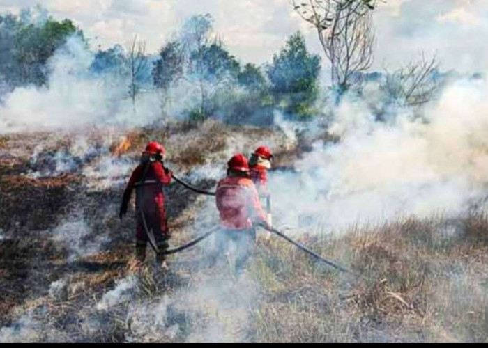 Kabupaten OKI Daerah Dengan Karhutlah Terbanyak, Kebakaran Capai 850 Hektar