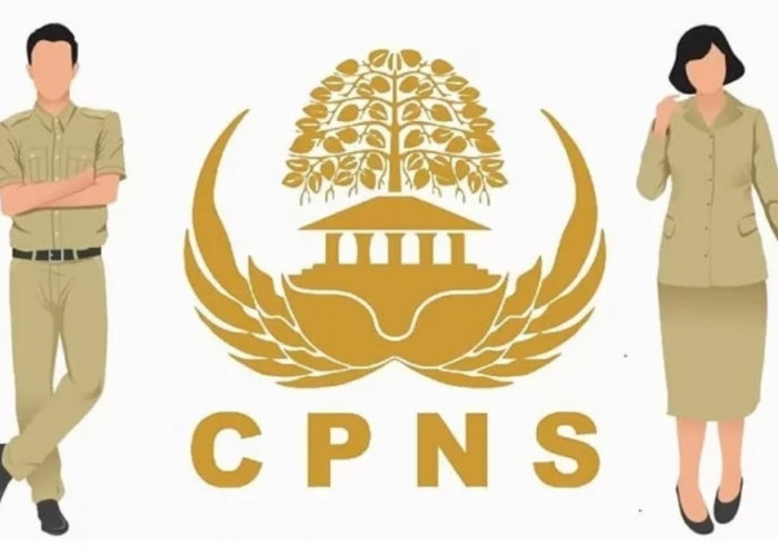 Tahun 2024 Ini Penerimaan CPNS Besar-Besaran, Ini 5 Instansi yang Biasa Terima Lulusan SMA 