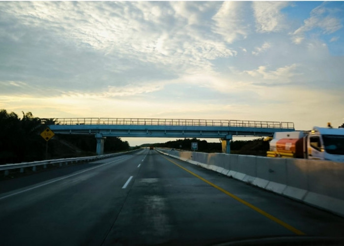 Tol Dharmasraya–Rengat Dekat Jambi, Warga Jambi Barat Kecipratan Untung Besar!