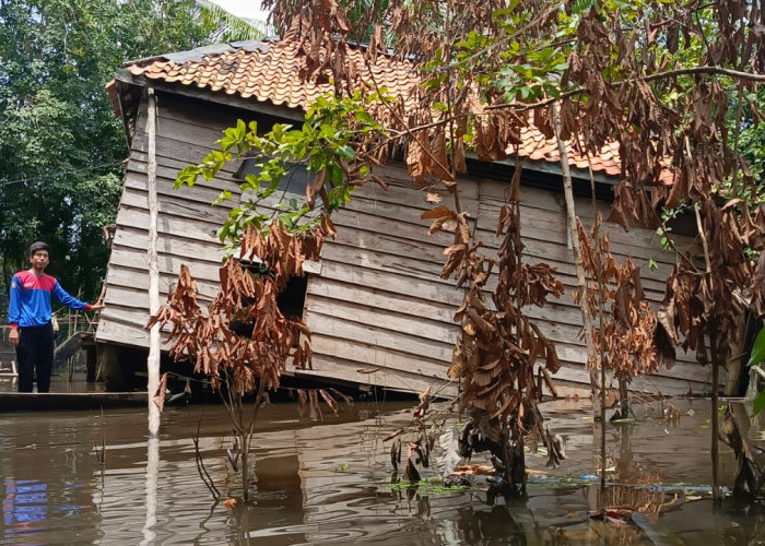 Tergenang Air, Satu Rumah di Kecamatan Lais Roboh
