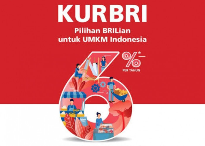 Program KUR BRI, Solusi Finansial Andalan untuk UMKM, Dorong Pertumbuhan Ekonomi Lokal