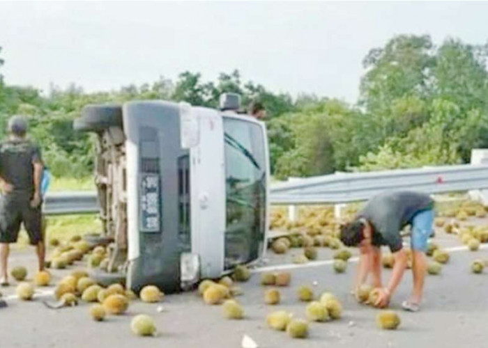 Viral, Foto Durian Bertebaran di Tol Indralaya - Prabumulih, Usai Mobil Pick Up Terbalik