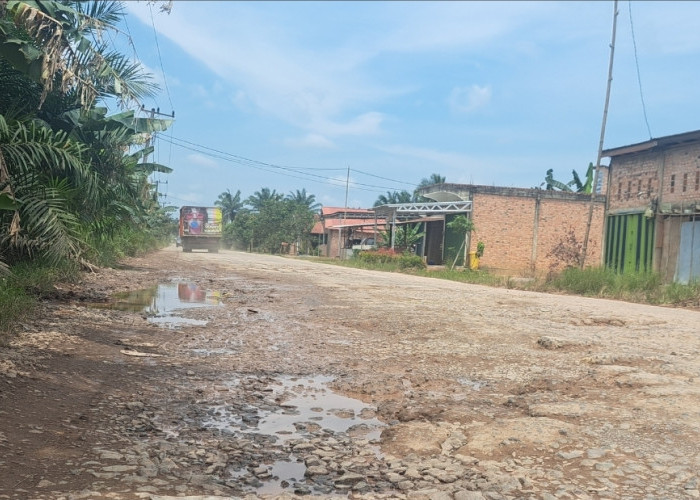 Terdampak Pembangunan Tol Betung Jambi, Begini Kondisi Jalan Sungai Lilin - Keluang