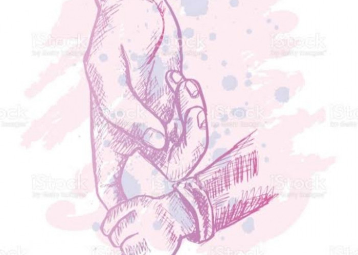 BPS Sumsel Rilis Long Form SP2020, Angka Kematian Bayi di Sumsel Turun  89 Persen