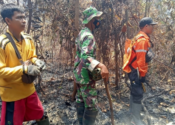 Hotspot Terdeteksi Satelit, Bupati Toha Instruksikan Tim Karhutla Muba Langsung Turun ke Lapangan