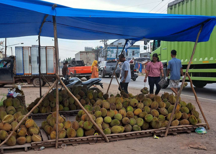 Musim Durian, Banyak Lapak Durian Dadakan di Jalintim