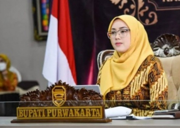 Anggota DPR RI Dedi Mulyadi Digugat Cerai Bupati Purwakarta Anne Ratna Mustika