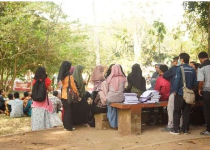 Kemndikbudristek Cabut Izin 23 Perguruan Tinggi di Indonesia, Ada Dari Palembang