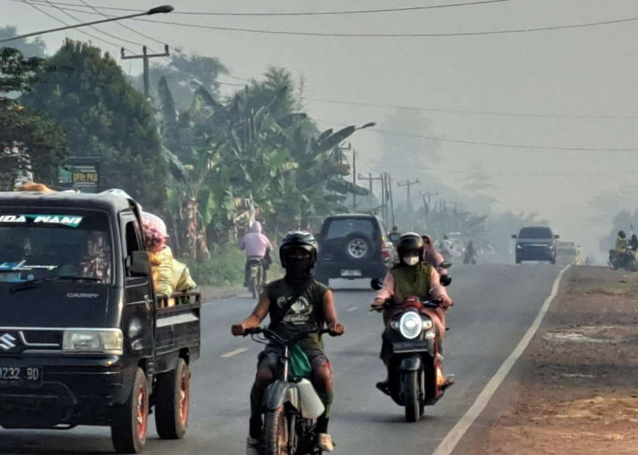 Sempat Menghilang, Kabut Asap Tipis Selimuti Jalintim Hari Ini