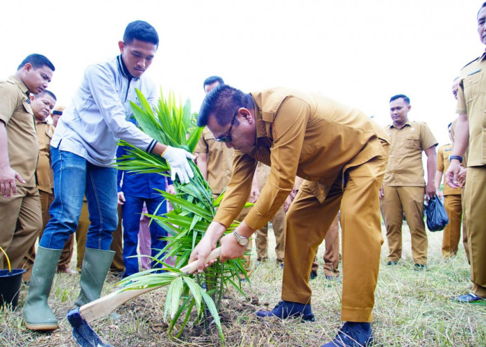 Dari Lahan Tidur Jadi Lumbung Produktif, Pemkab Muba Sulap Aset Jadi Kebun Sawit dan Kolam Lele