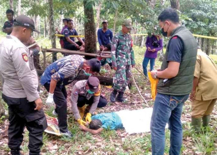 Pria Paruh Baya di Mura Ditemukan Meninggal di Kebun Karet, Ini Dugaan Penyebabnya