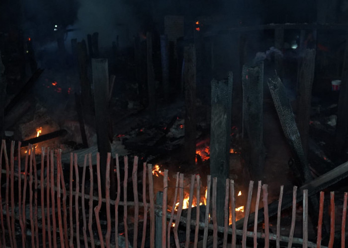 Polisi Berhasil Amankan Sopir Grand Max, Penyebab 5 Rumah Warga Talang Leban Batang Hari Leko Terbakar
