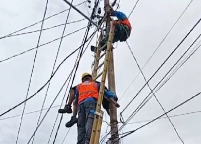 Petugas PLN di Lubuk Linggau Meninggal, Didufa Tersengat Listrik Saat Benahi Jaringan