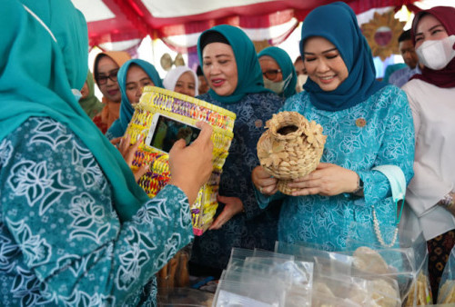 Feby Deru  Ajak  TP PKK Kabupaten/Kota Sinergi  Bersama  Pemerintah  Turunkan Angka Stunting   