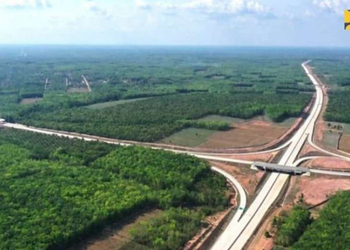 Jalur Utama Tol Trans Sumatera, Inilah Desa Terdampak Pembangunan Tol Jambi - Rengat