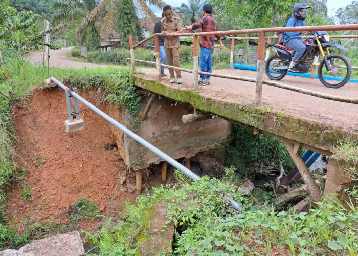 Masih Ada 1 Jembatan Lain Cukup Menghawatirkan di Desa Mulyo Rejo, Berada di Jalur Utama Desa 