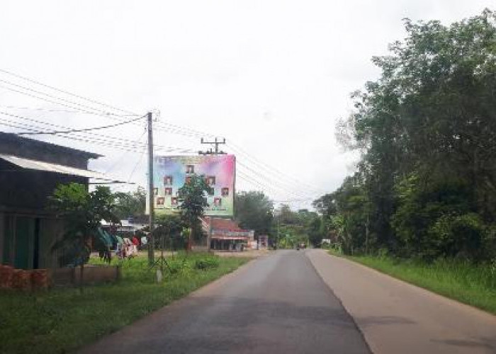 Persimpangan Desa Bailangu   Minim Rambu Lalin 