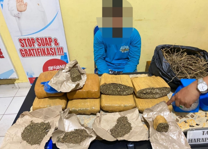 Tangkap Bandar Narkoba Asal Baturaja, BNNK OKU Timur Sita 7 Kilo Ganja