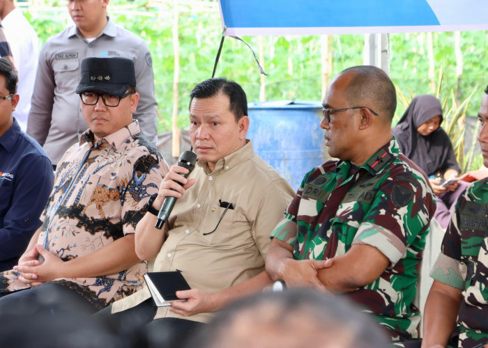 Pj Gubernur Sumsel Harapkan  Bulog Maksimalkan Penyerapan Gabah Petani Disaat Puncak Panen Raya