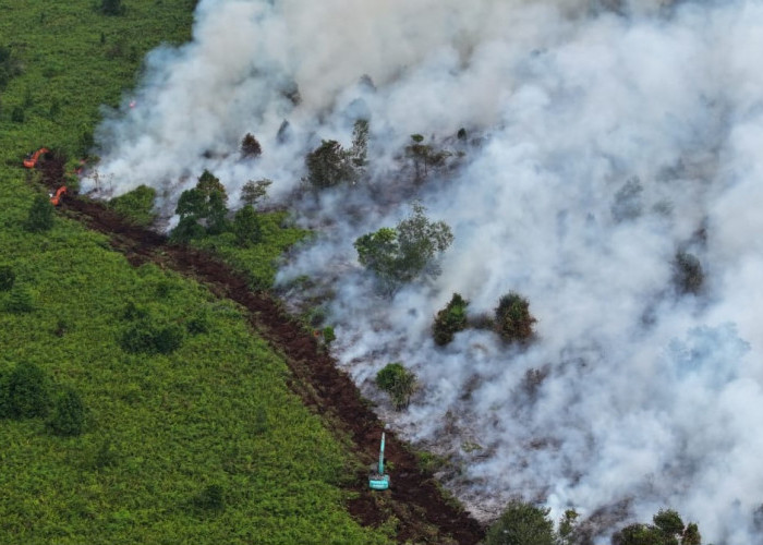 Kebakaran Lahan Mulai Terjadi di Muba, 15 Hektar Lahan Gambut di Muara Medak Bayung Lencir Terbakar