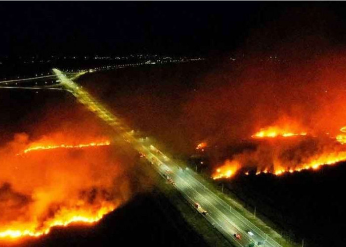 Penampakan Kebakaran Lahan di Sekitar Areal Tol Palembang Indralaya