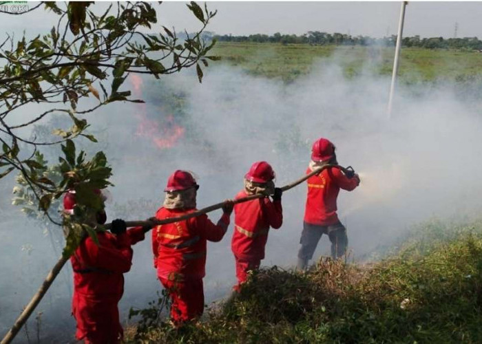 Tiga Hari Ini, Kebakaran Terjadi di Sekitar Tol Kayuagung Palembang